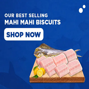 Our Best Selling Mahi Biscuits